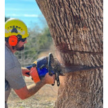 J & J TREE CARE PROFESSIONALS