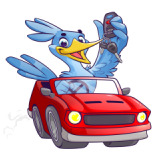 Roadrunner Car Keys