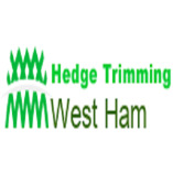 Hedge Trimming West Ham