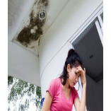 Derby City Water Damage Experts