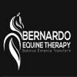 Bernardo Equine Therapy