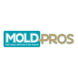 Mold Pros Maine