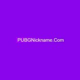PUBG Nickname