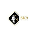 SK9 Training World