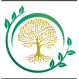 Tranquillium Therapy