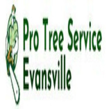 Pro Tree Service Evansville