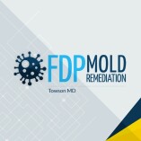 FDP Mold Remediation | Mold Remediation Towson