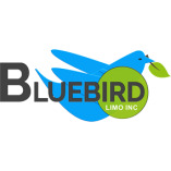 Bluebird Limo Inc