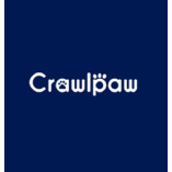 Brace for dog knees (stifles) - crawlpaw