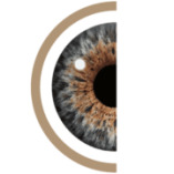 Augenärztliches & Augenchirurgisches Zentrum Hamm || Schekeb Wasseh & Kollegen || Fachärzte für Augenheilkunde logo
