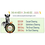 Zebra Carpet Cleaning TX