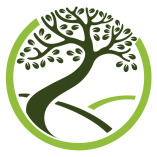 Der Baumpfleger 37 logo