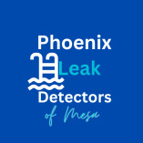 Phoenix Leak Detectors of Mesa