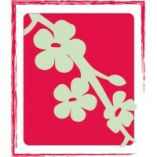 Alternative Family Medicine and Chiropractic