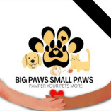 BIG PAWS SMALL PAWS