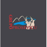 Grupo Prosevicu