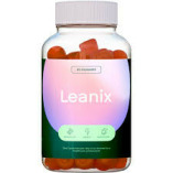 Leanix