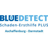 Blue DETECT Darmstadt