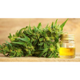 CBD Oil