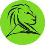 LionMountain Pictures logo