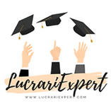 lucrariexpert