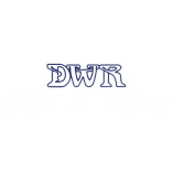 DWR Tire & Auto