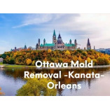 Ottawa Mold Removal -Kanata-Orleans