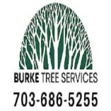 Burke Tree Services