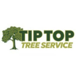 Tip Top Tree Service, LLC