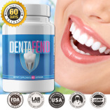 DentaFend DentaFend