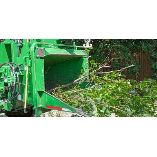 Olympic Mountains Tree Service