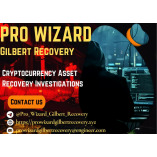 RECOVER LOST BTC OR USDT  USING PRO WIZARD GIlBERT RECOVERY