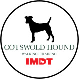 Cotswold Hound Dog training and Walking
