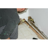 Star City Water Damage Co