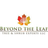 Beyond The Leaf Tree and Shrub Experts