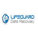 Lifeguard data recovery