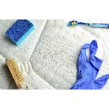 Boise Mold Removal Pros