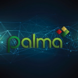 Palma Financial