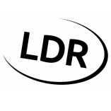 LDR Web Design Agency