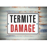 Port City Termite Removal Experts