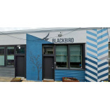 Bats Foundation Repair