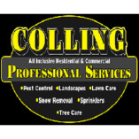 Colling Professional Services