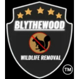 Blythewood Wildlife Removal and Pest Control