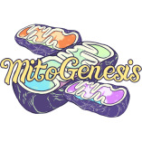 Mitogenesis Health