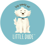 Big World of Little Dude