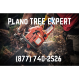 Plano Tree Expert