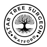Star Tree Surgeon Watford