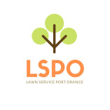 Lawn Service Port Orange