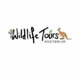 Wildlife Tours