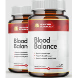 Guardian Blood Balance Official Website